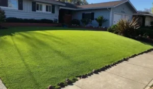 تنسيق حدائق عشب صناعي