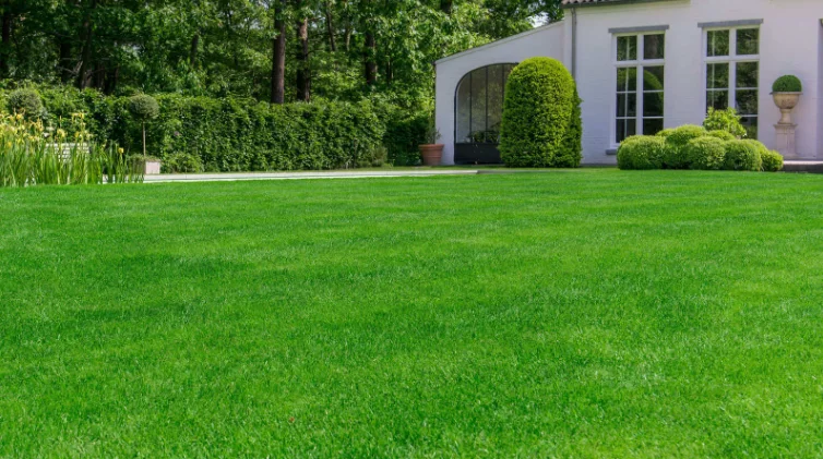 تركيب ثيل طبيعي